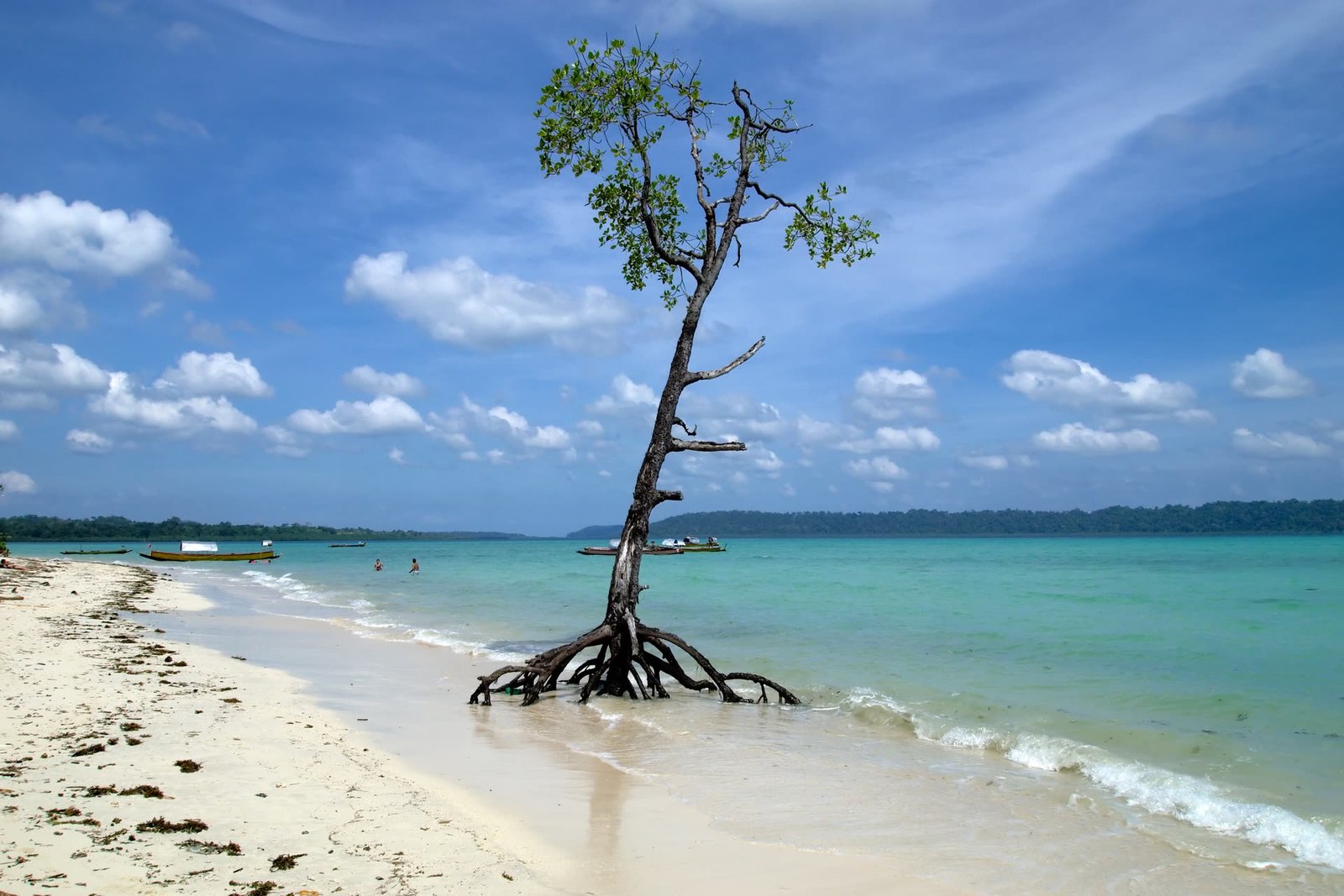 Clear shallow water over sand at a beach in the Andaman Islands