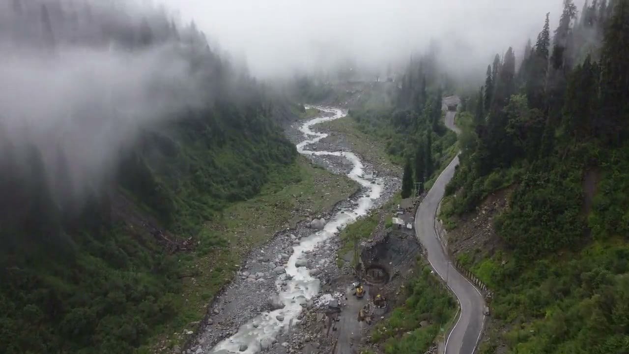 Deodar forest on a mountainside in Himachal Pradesh