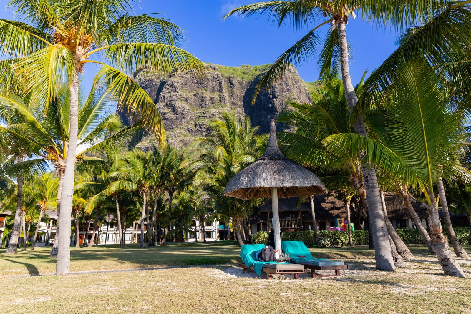 Palm trees and a thatched shelter on a beach in Mauritius